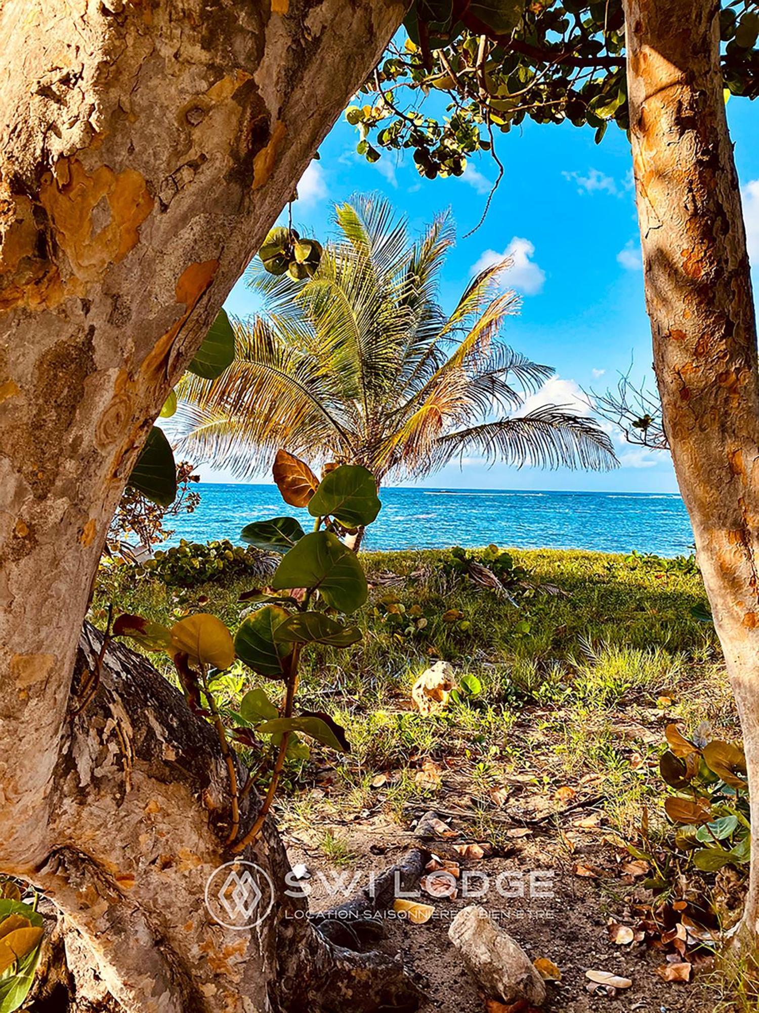 Swilodge Vue Sur Mer ! Petit Dejeuner Et Location De Voiture Possible Le Moule Exterior foto